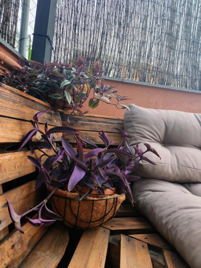 Hotel Estudio Con Terraza Badalona Exterior foto